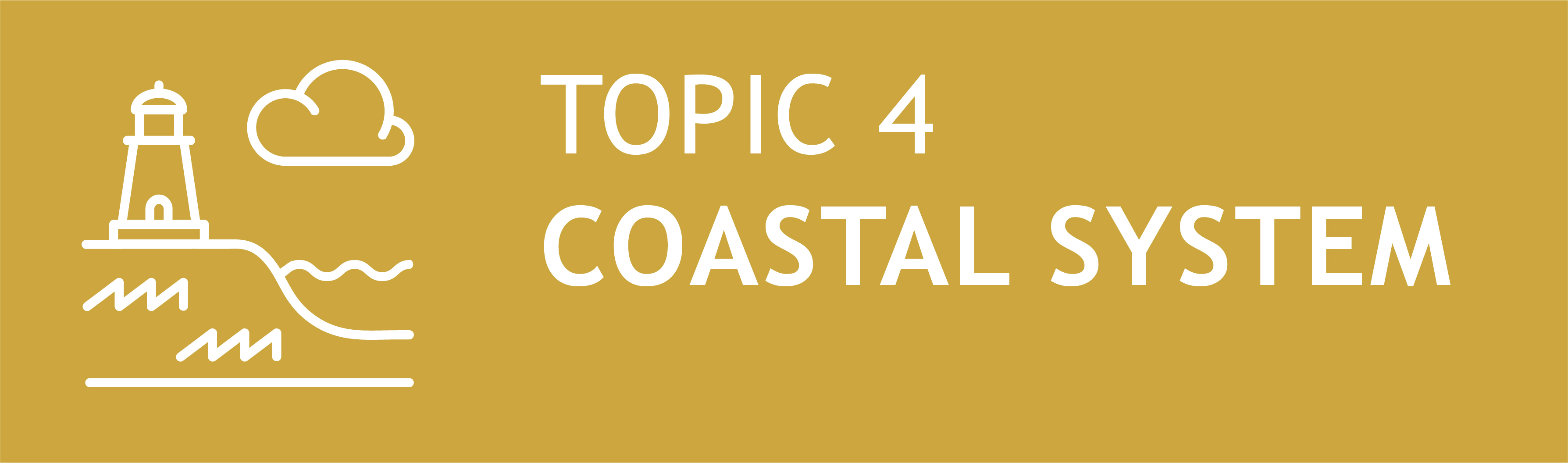 Icon Topic 4 Coastal Systems