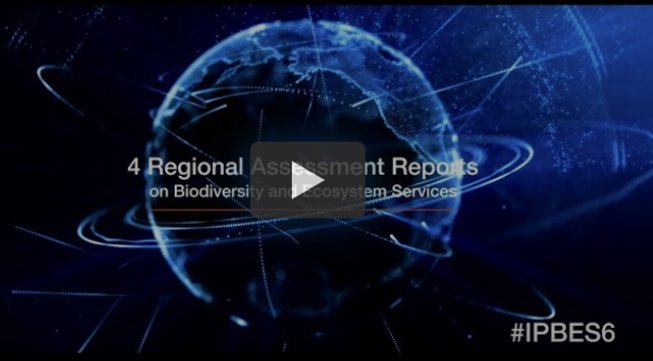 Screenshot of video with earth, IPBES approvl of reports. Source: IPBES