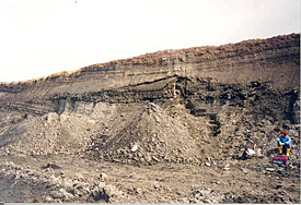 The open cast mine Neumark-Nord in Geiseltal valley near Merseburg was one of the four silted up lakes.