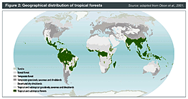 Geographical distribution of tropical forests