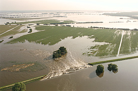 Flood of the river Elbe in Germany, August 2002