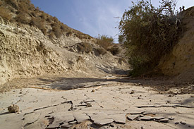 Trockenes Flussbett im Nahen Osten